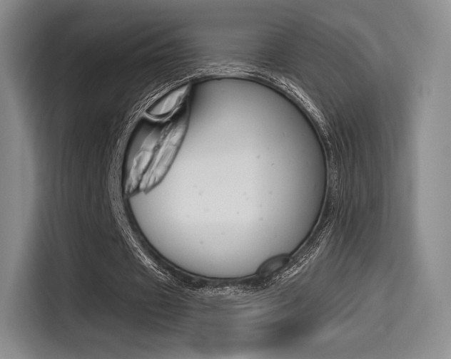X0000114490433200910191119