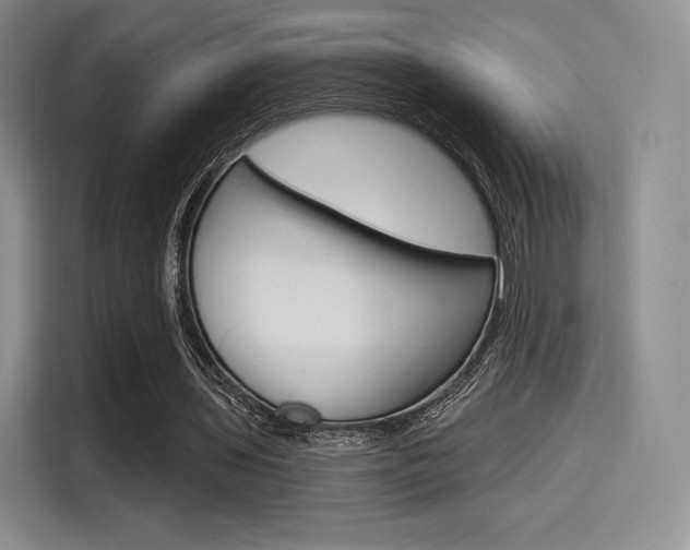 X0000114490435200910191119