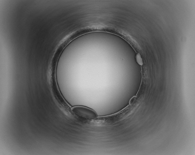 X0000114490440200910191120