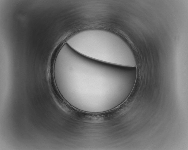 X0000114490443200910191120