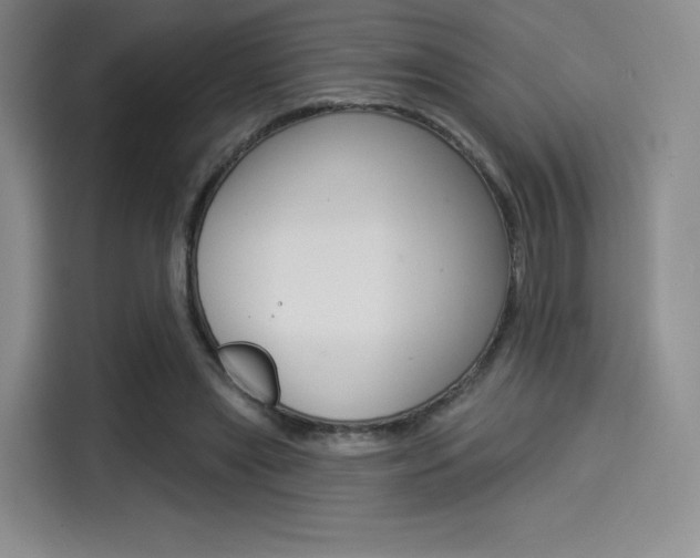X0000114490445200910191120