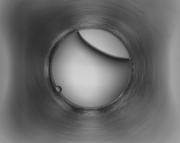 X0000114490446200910191120