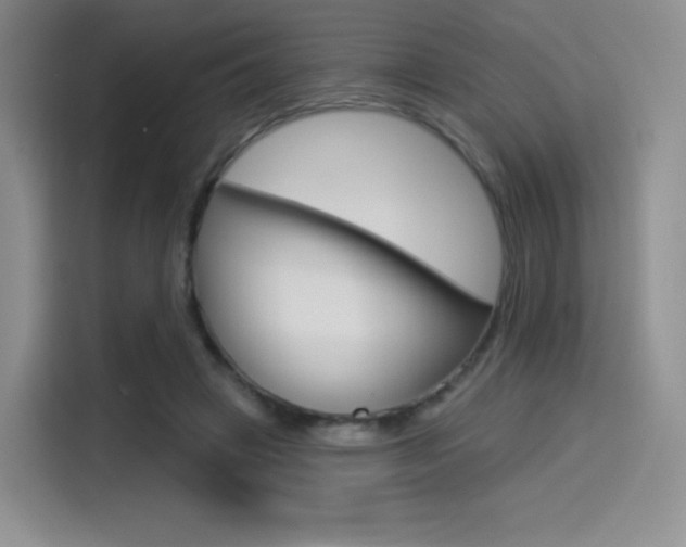 X0000114490449200910191120