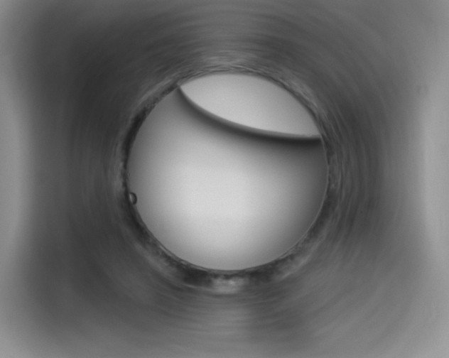 X0000114490450200910191120