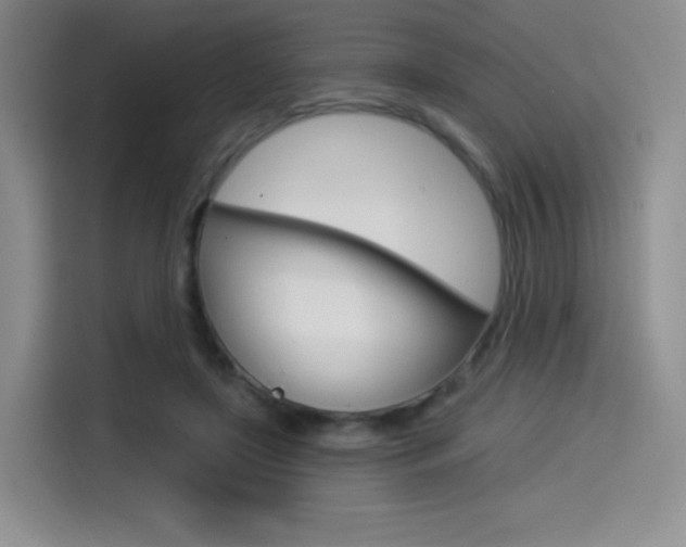 X0000114490451200910191120