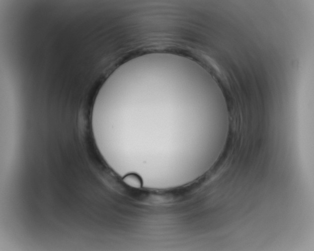 X0000114490455200910191120
