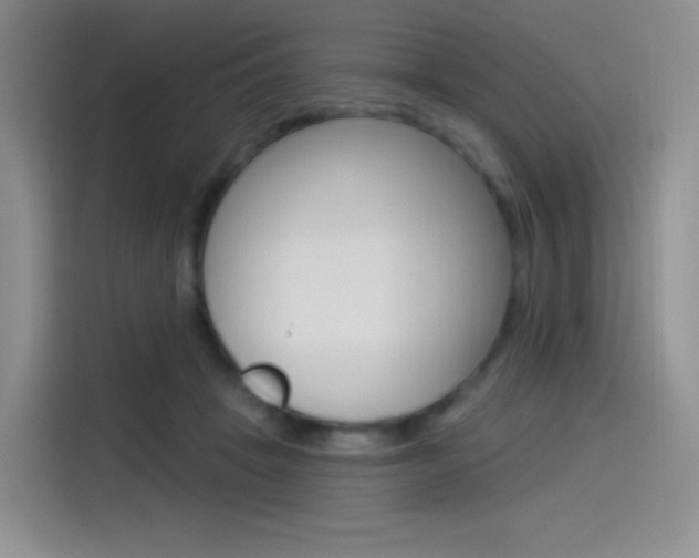 X0000114490457200910191120