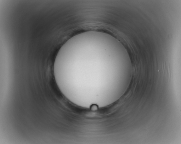 X0000114490460200910191120