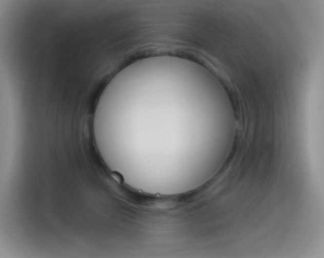 X0000114490462200910191120