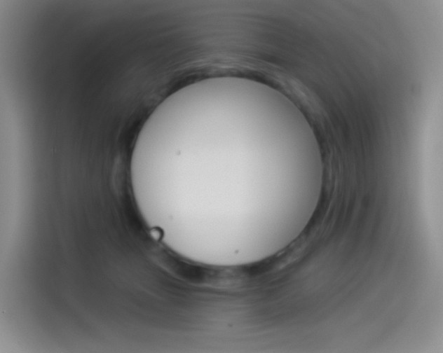 X0000114490463200910191120
