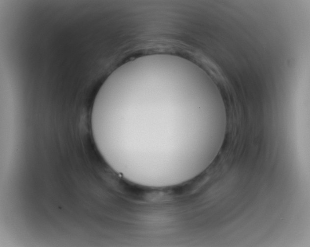 X0000114490465200910191120
