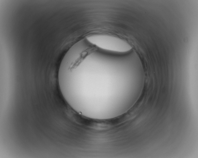 X0000114490466200910191120