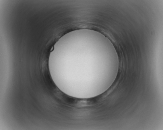 X0000114490473200910191120