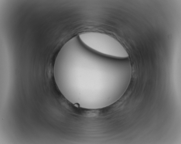 X0000114490474200910191120