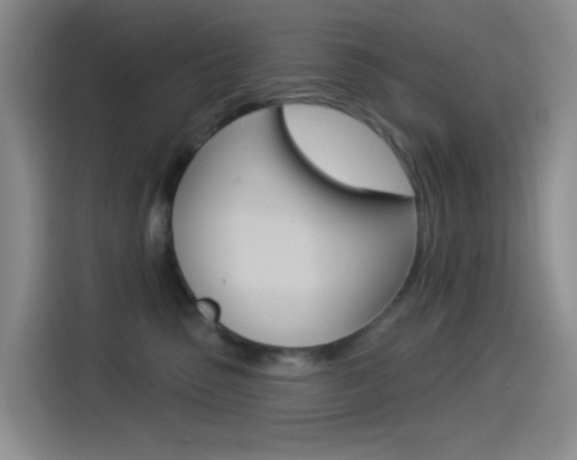 X0000114490475200910191120