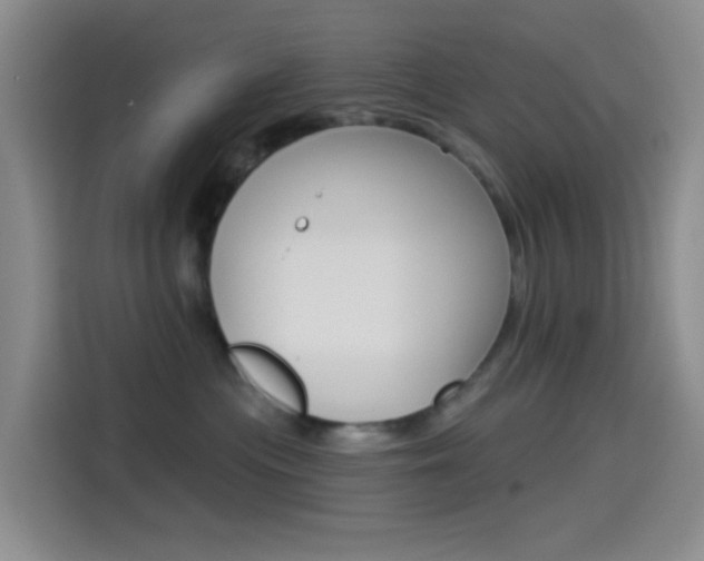 X0000114490477200910191120