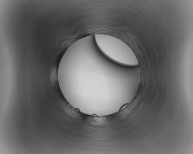 X0000114490478200910191120