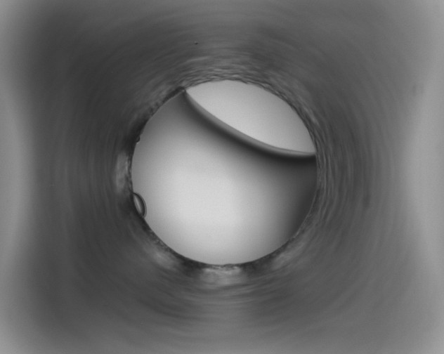 X0000114490480200910191120