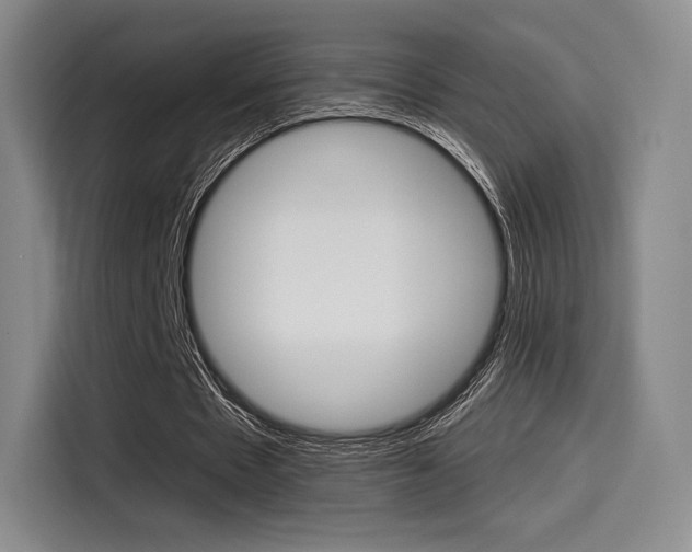 X0000114490481200910191119