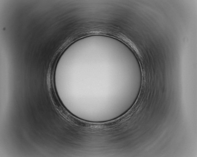 X0000114490482200910191119