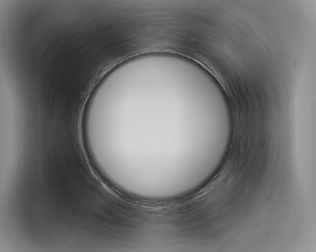 X0000114490485200910191119