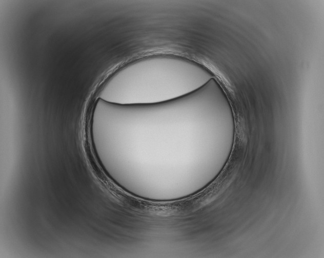 X0000114490486200910191119