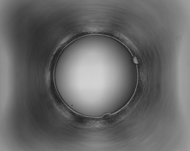X0000114490488200910191119