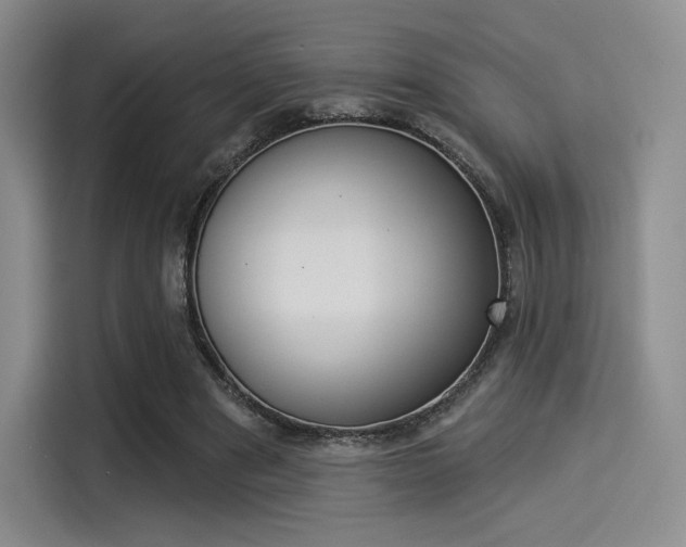 X0000114490489200910191119