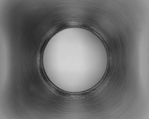 X0000114490490200910191119
