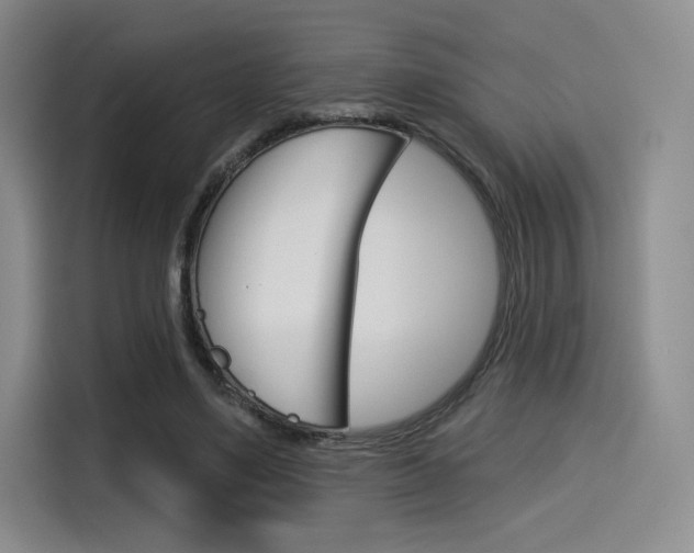 X0000114490491200910191119