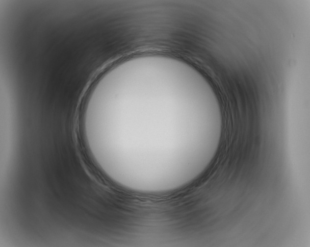 X0000114490492200910191119