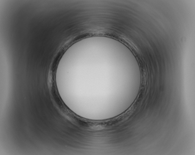 X0000114490494200910191119