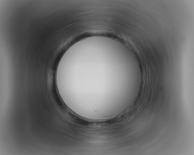 X0000114490495200910191119