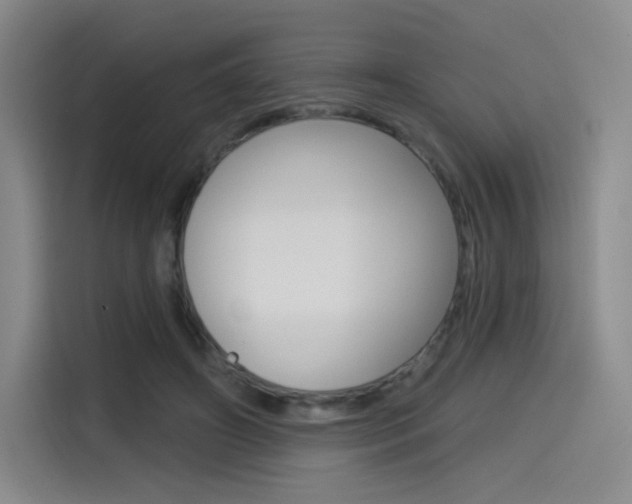 X0000114490498200910191119