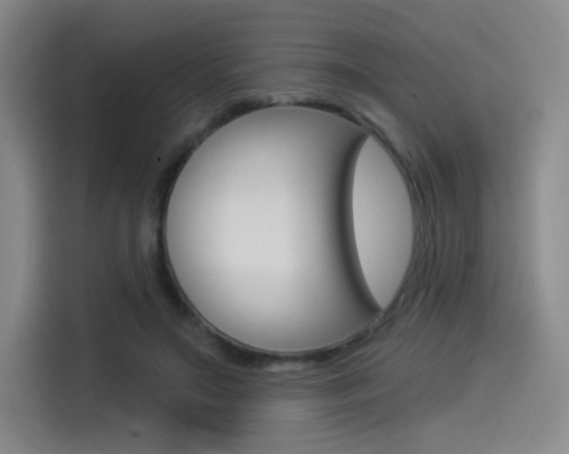 X0000114490499200910191119