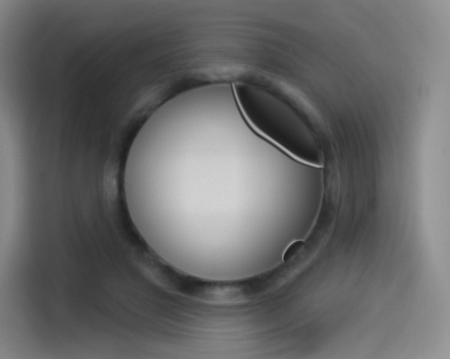 X0000114490501200910191119