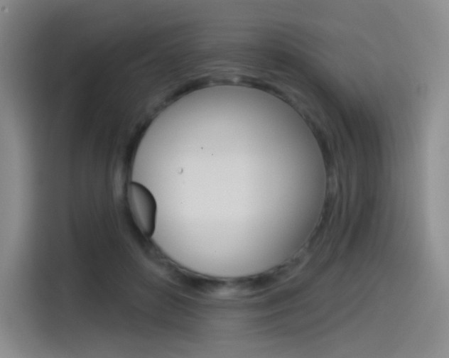 X0000114490504200910191119