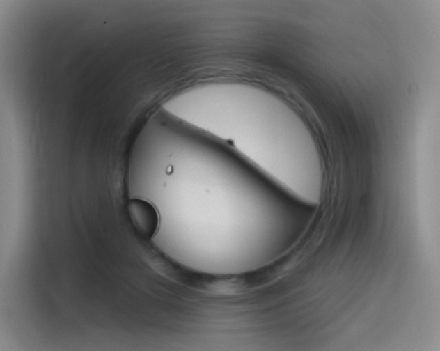 X0000114490505200910191119