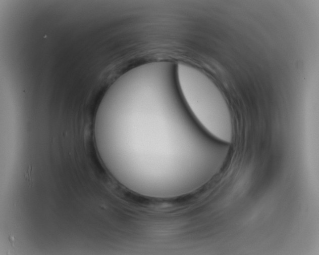 X0000114490507200910191119