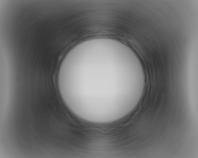 X0000114490508200910191119