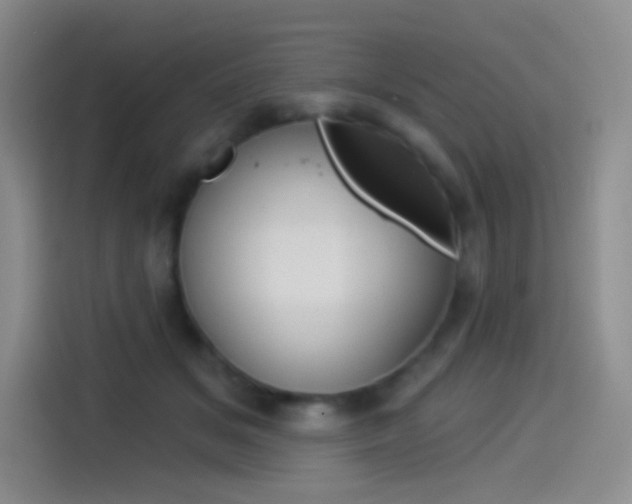 X0000114490509200910191119