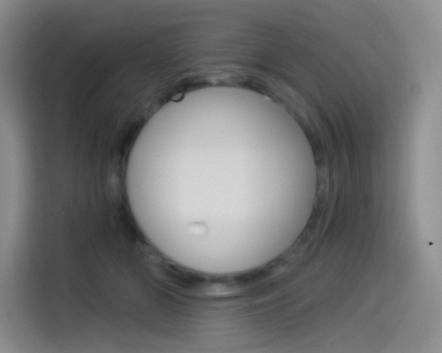 X0000114490510200910191119