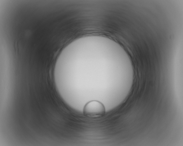 X0000114490512200910191119
