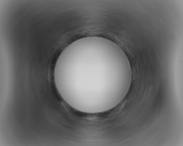 X0000114490519200910191119