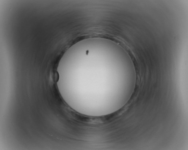 X0000114490520200910191119