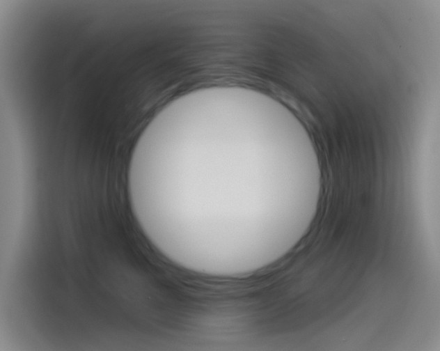 X0000114490521200910191119
