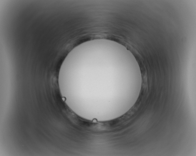 X0000114490522200910191119