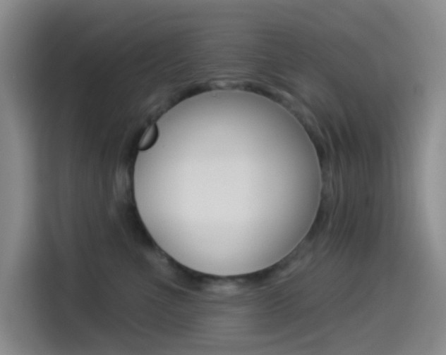X0000114490523200910191119