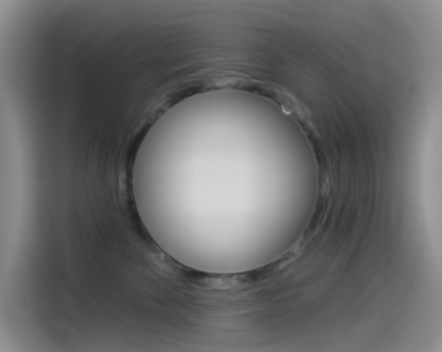 X0000114490524200910191119