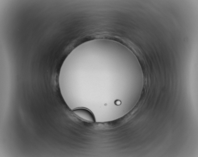 X0000114490525200910191119